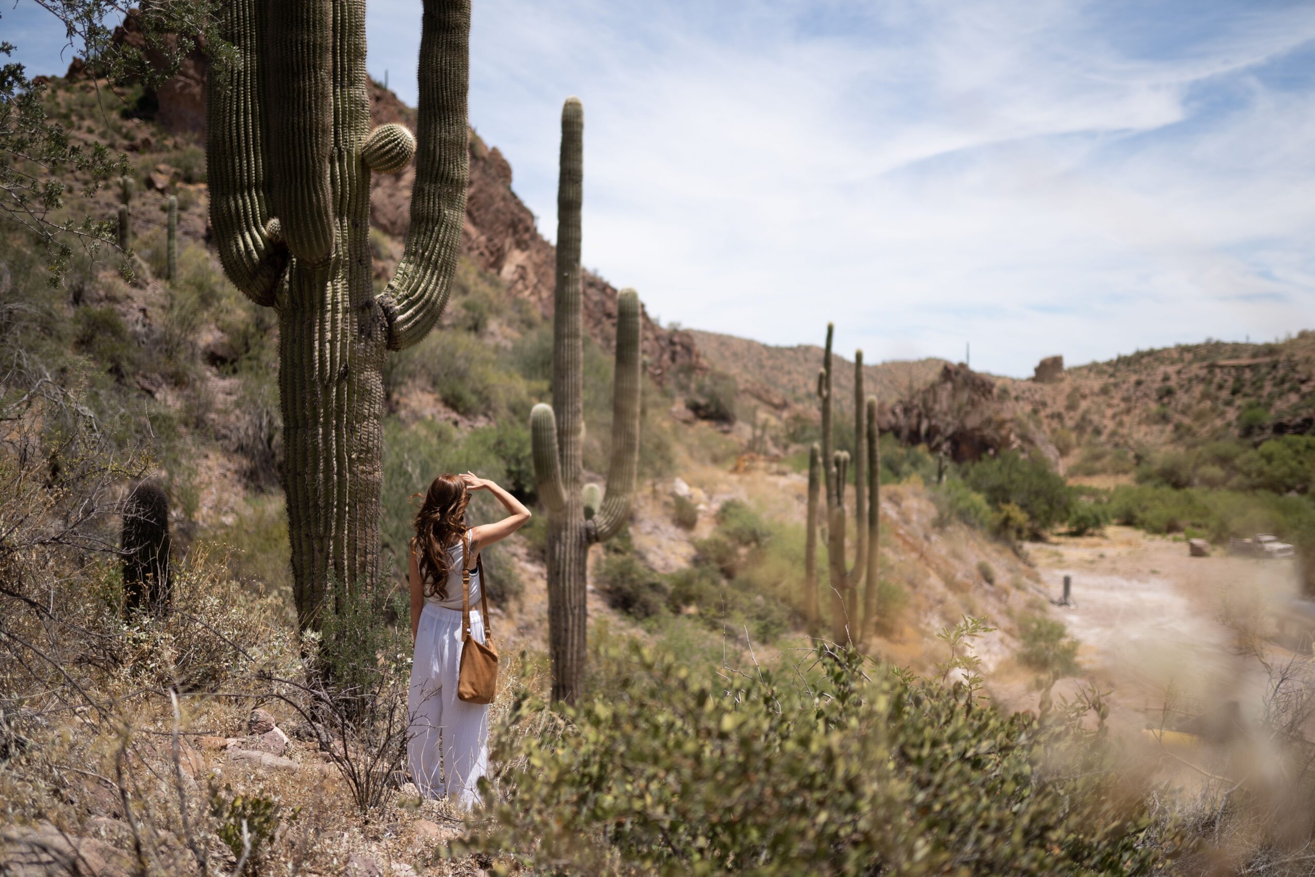 Woman in a white dress with a brown shoulder bag stands among tall cacti in a desert landscape under a blue sky.